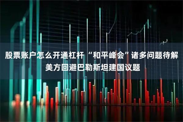 股票账户怎么开通杠杆 “和平峰会”诸多问题待解 美方回避巴勒斯坦建国议题