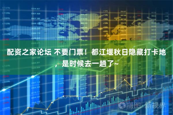 配资之家论坛 不要门票！都江堰秋日隐藏打卡地，是时候去一趟了~