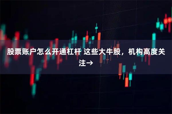 股票账户怎么开通杠杆 这些大牛股，机构高度关注→