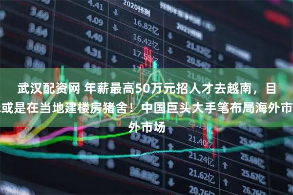 武汉配资网 年薪最高50万元招人才去越南，目标或是在当地建楼房猪舍！中国巨头大手笔布局海外市场
