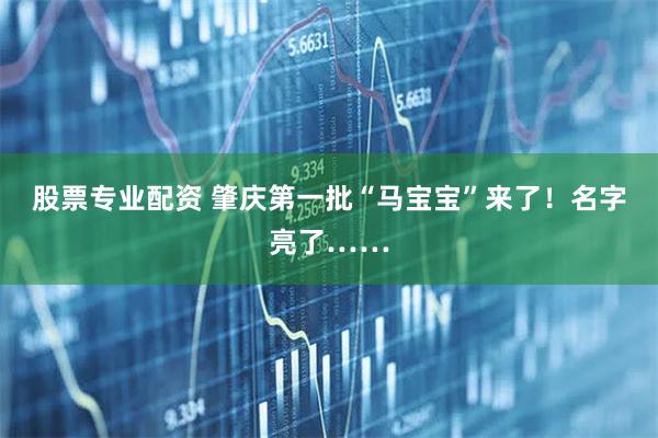股票专业配资 肇庆第一批“马宝宝”来了！名字亮了……